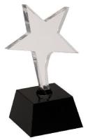 Clear Shooting Star Award
